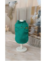 CÓD N170 - CAMISA ENCANTO VERDE