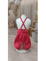 CÓD N188 - JARDINEIRA VERMELHA