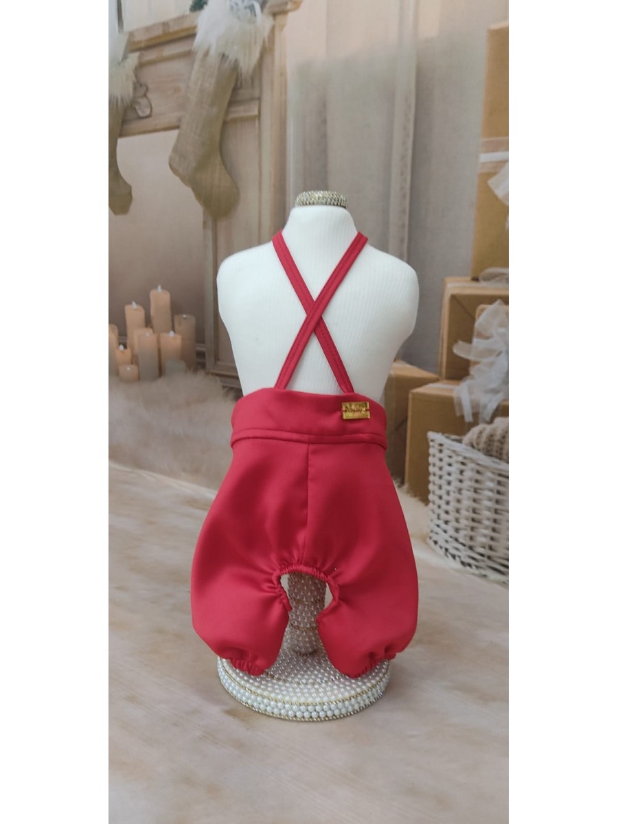 CÓD N188 - JARDINEIRA VERMELHA