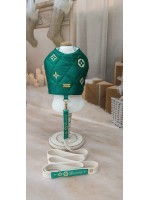 CÓD N191 - PEITORAL ENCANTO VERDE MACHO