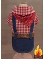 CÓD J033 - CAMISA COUNTRY VERMELHA