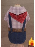 CÓD J035 - CAMISA COUNTRY LAVANDA