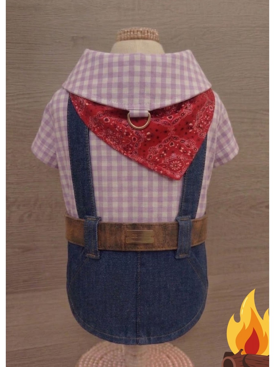 CÓD J035 - CAMISA COUNTRY LAVANDA