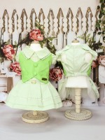 CÓD 0872 - VESTIDO COLETE VERDE