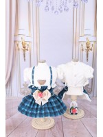 CÓD 0760 - JARDINEIRA XADREZ AZUL